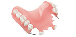 Partials